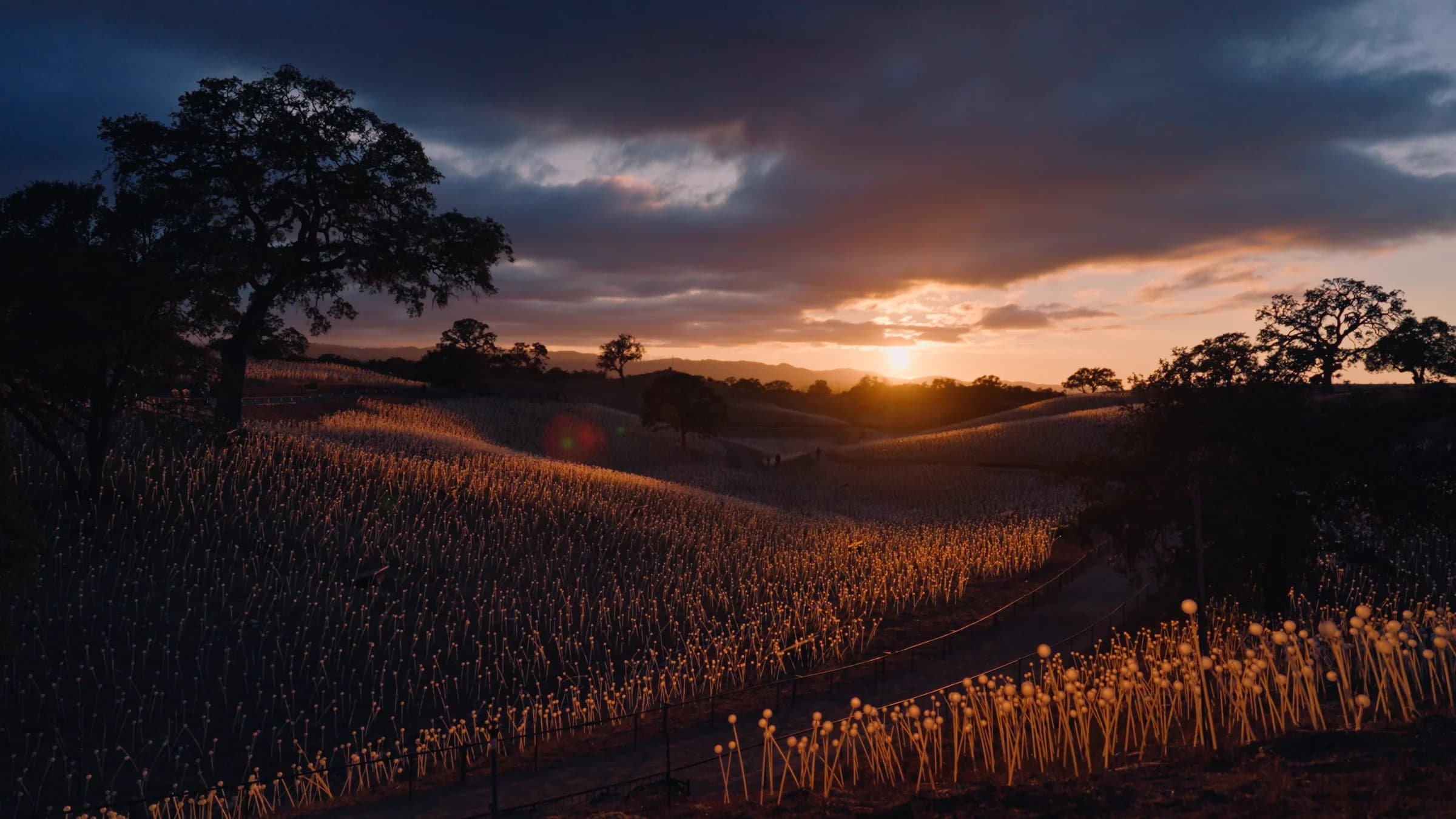 Finished color grade of an illuminated landscape at sunset