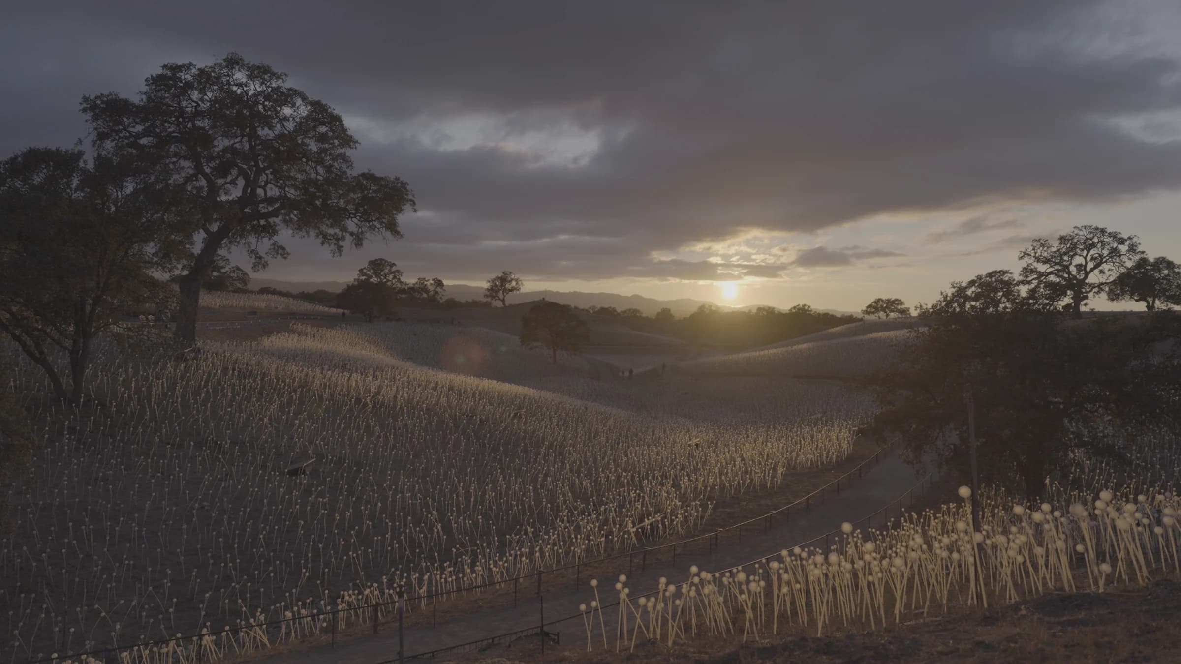 Neutral source frame of an illuminated landscape at sunset
